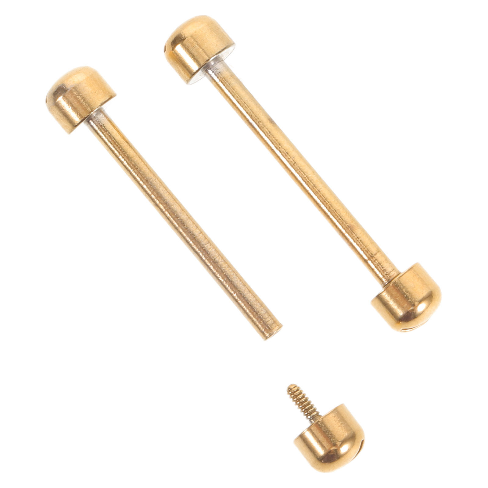 2 Peças Pinos de Parafuso para - Watch Strap Replacement avaliação e preço